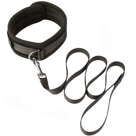 Sei Mio Take The Lead Neck Collar & Leash