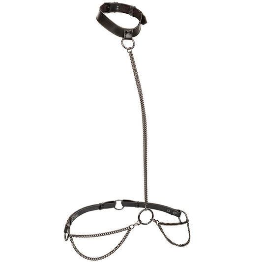 Euphoria Chain Collar & Leash: Luxurious BDSM Body Harness & Classic Fetish Set