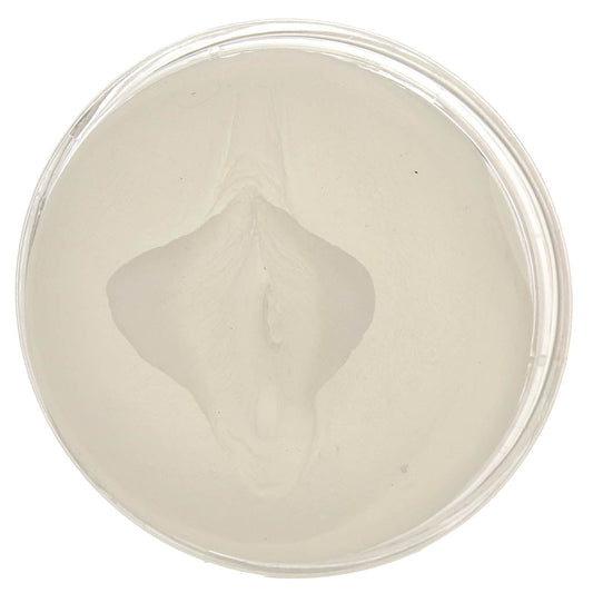 PDX Wet Pussies Super Luscious Lips Stroker in Clear