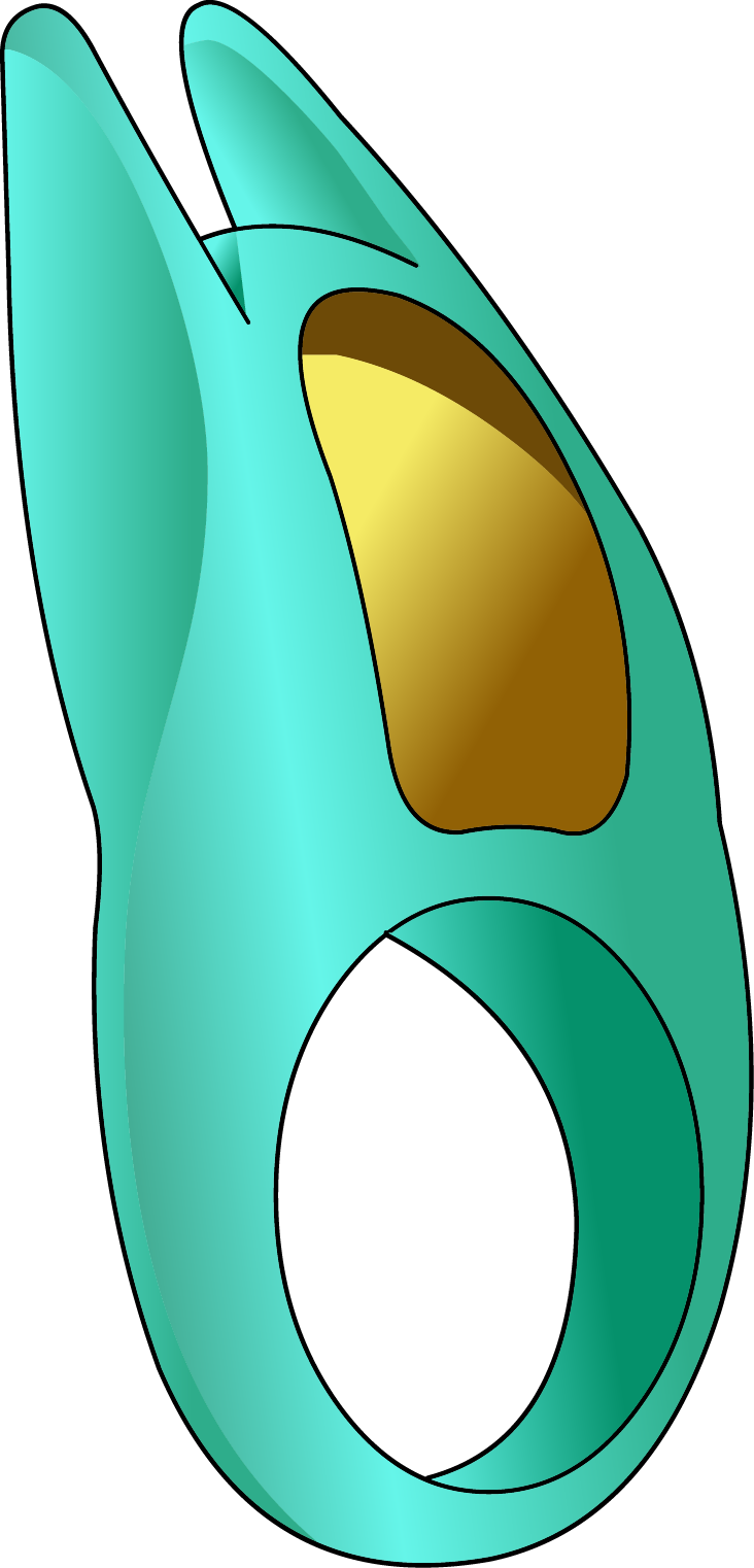 Cock Rings