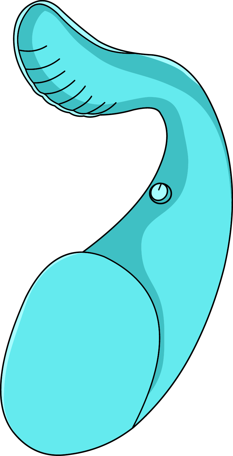 G-Spot Toys