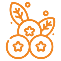 Earn HoneyHugsRewards