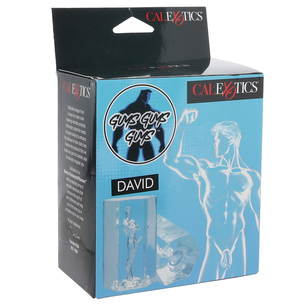 CalExotics Guys Guys Guys David Stroker - Male Masturbators - HoneyHugs Canada (View 6)