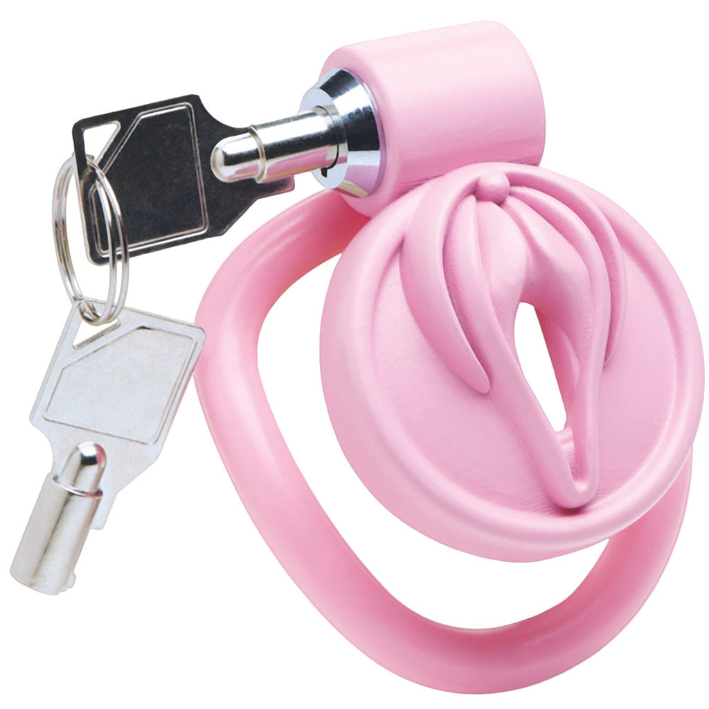 Master Series Pussification Vulva Chastity Cage: Embrace Ultimate Control & Submission