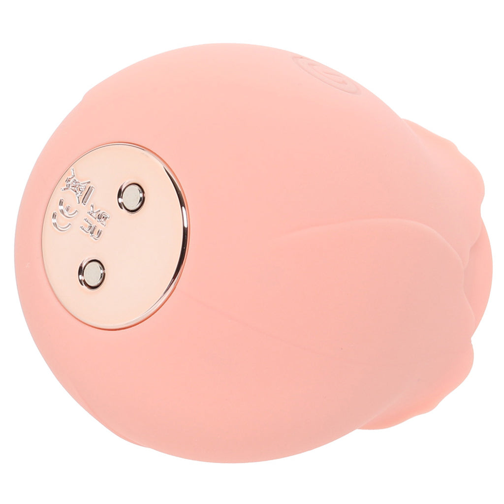 Creative Conceptions Skins Rose Buddies The Rose Purrz Vibe - Vibrators - HoneyHugs Canada (View 5)