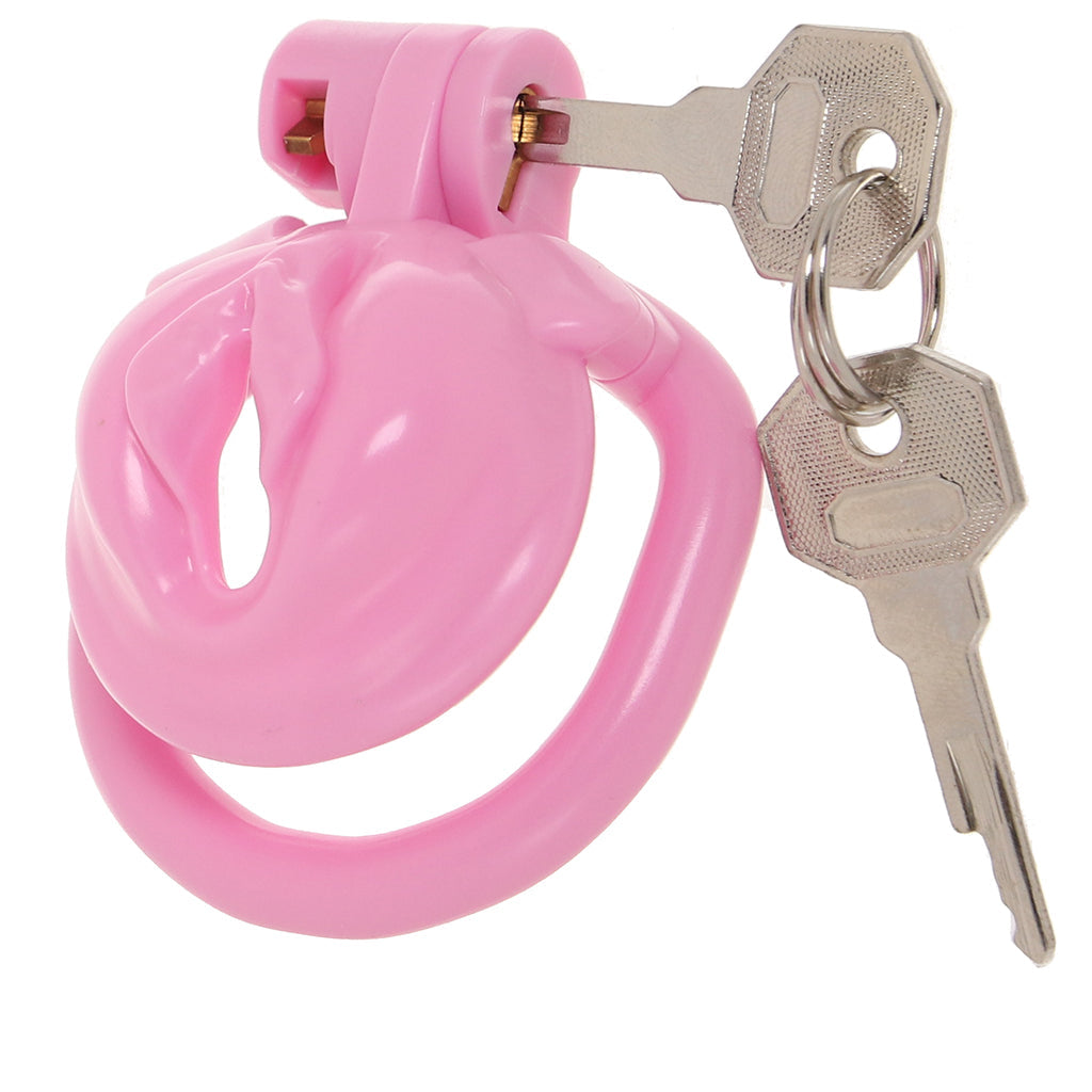 Blueline Bitchboy Degrading Mini Chastity Cage