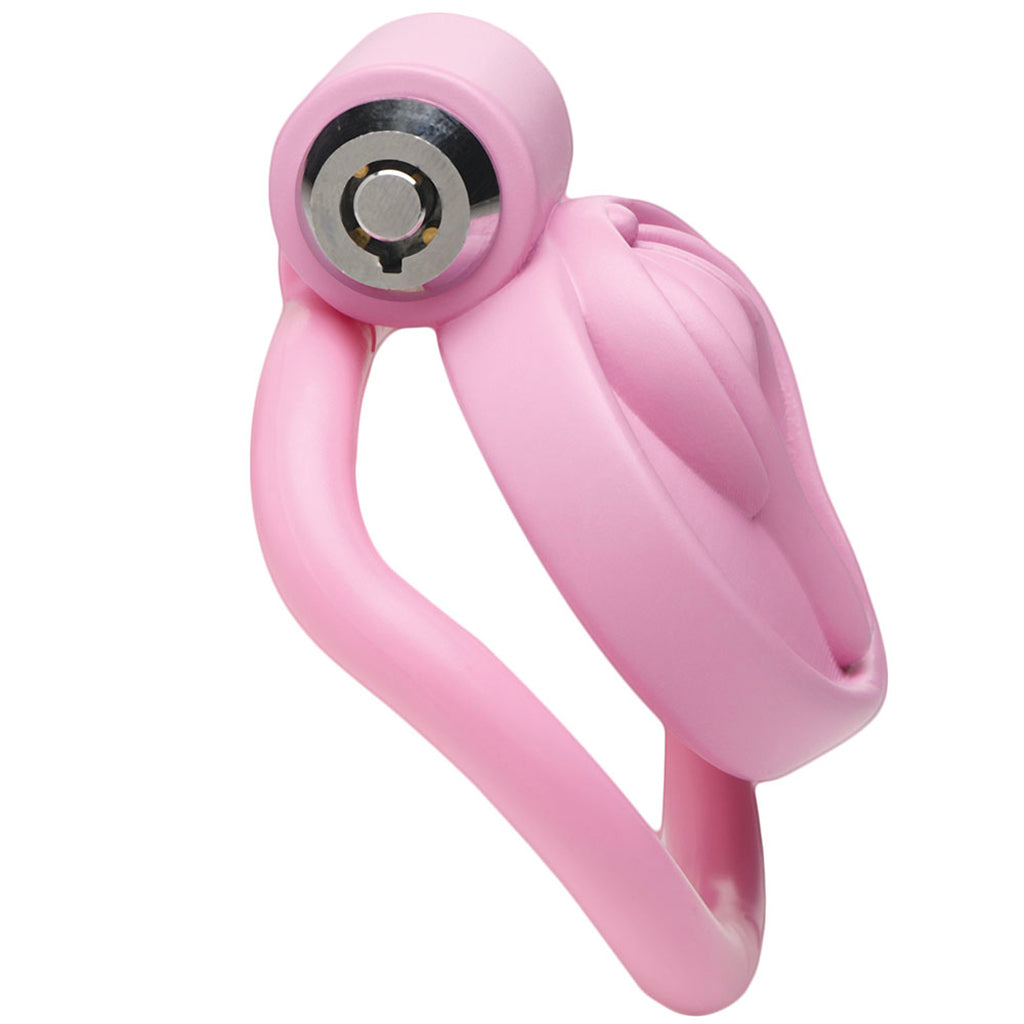 Master Series Pussification Vulva Chastity Cage: Embrace Ultimate Control & Submission
