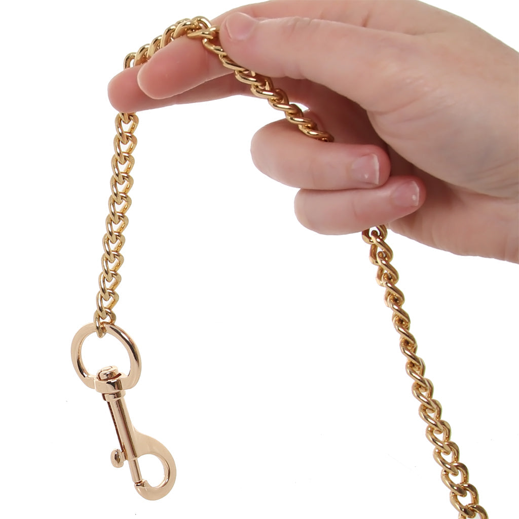 Leather Dog Lead Chain Leash