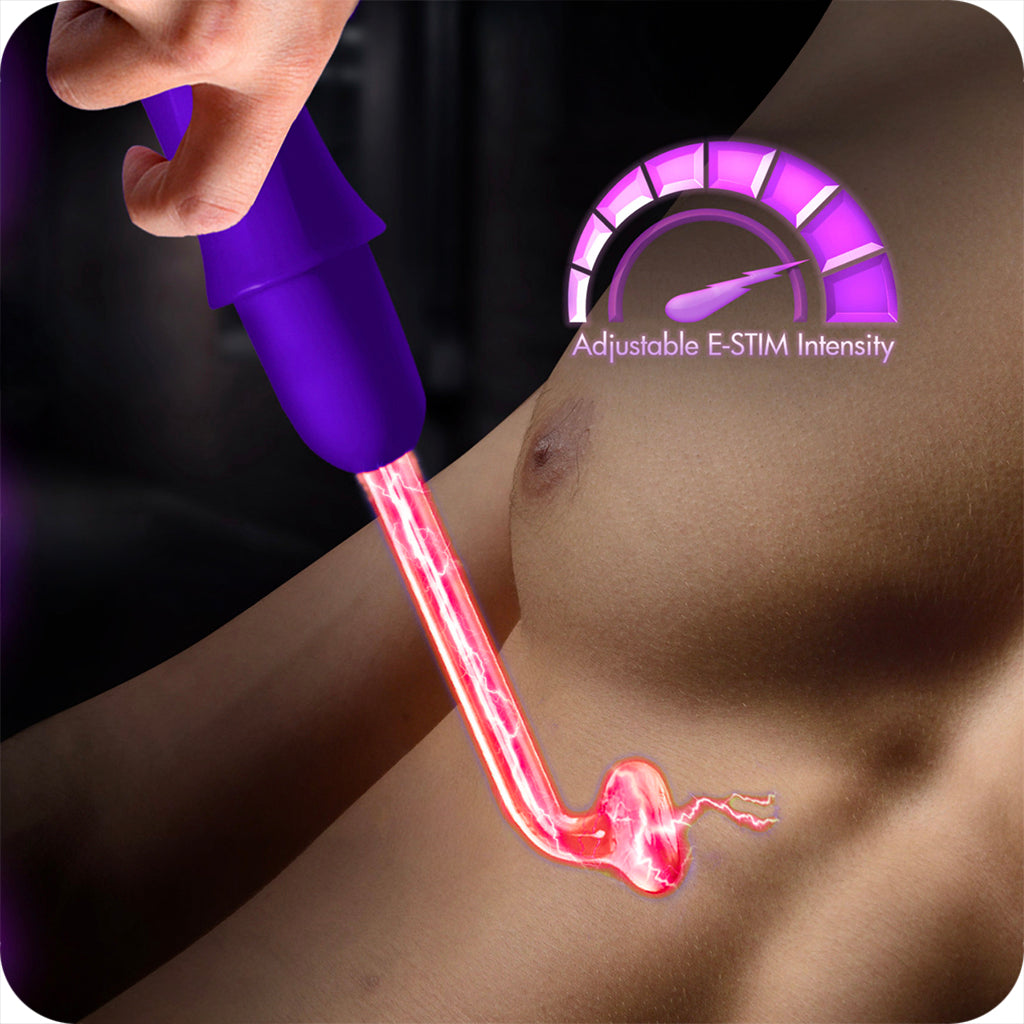 Master Series Electrawand Purple E-Stim Set: Unleash Electrifying Sensations