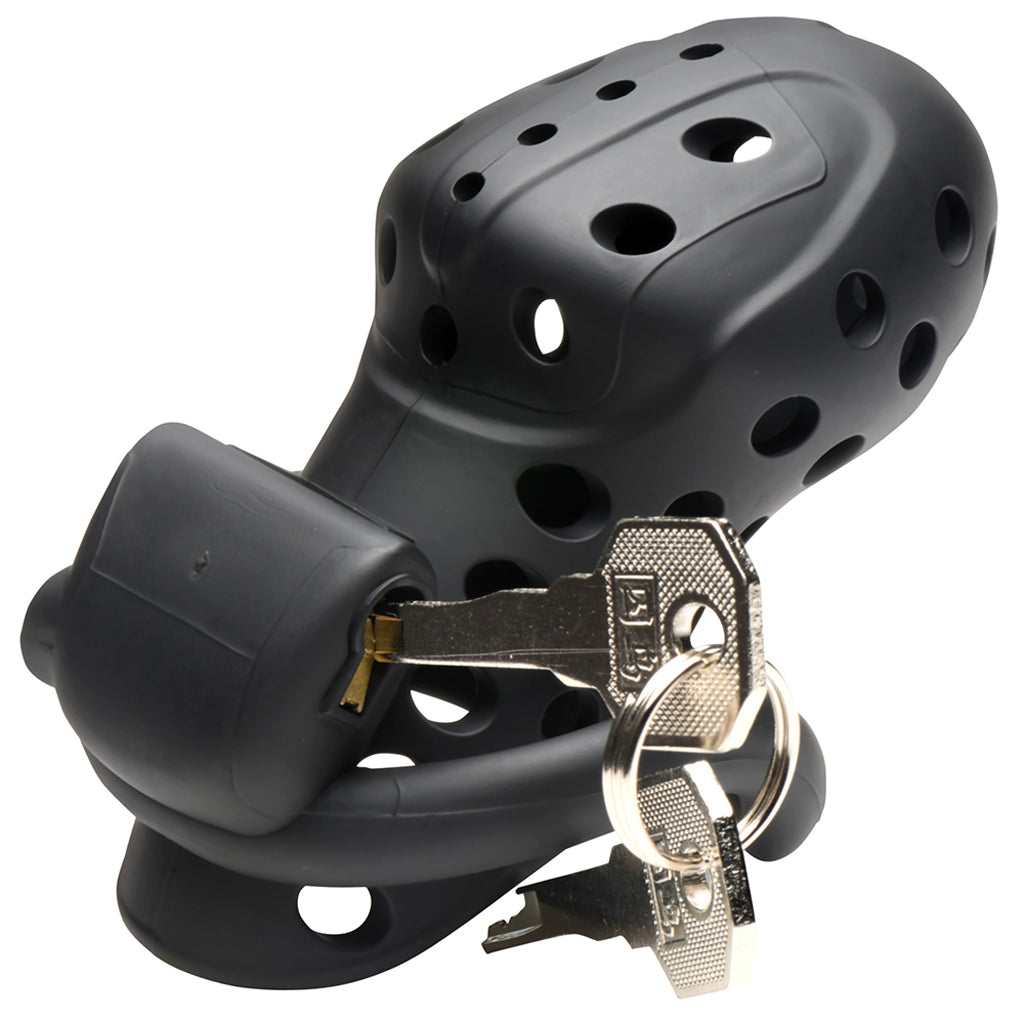 Master Series Lockdown Chastity Cage: Exquisite Control, Absolute Surrender