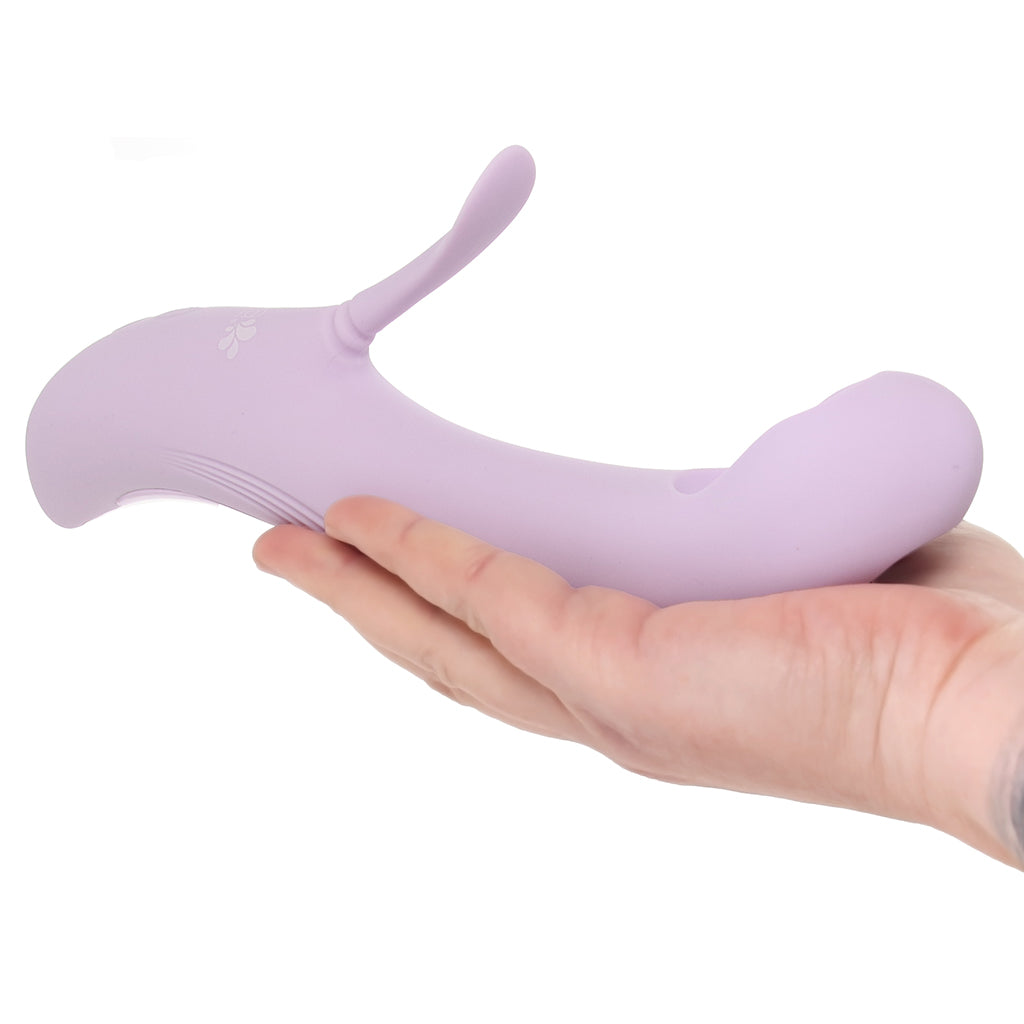 Charli Tapping & Flapping Rabbit Vibe