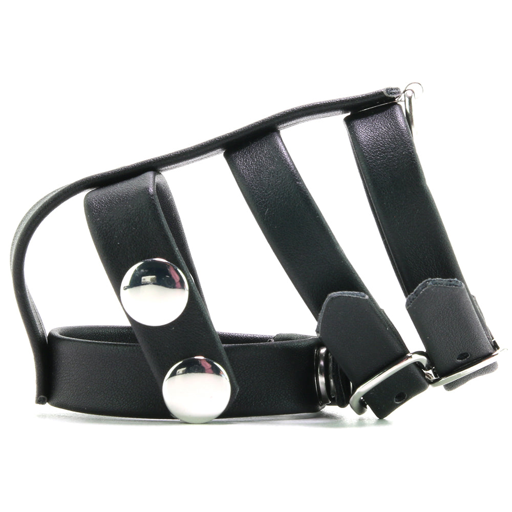 Blueline Men Blue Line Double Cock & Ball Strap with Leash Lead – Faux Leather Power & Pleasure