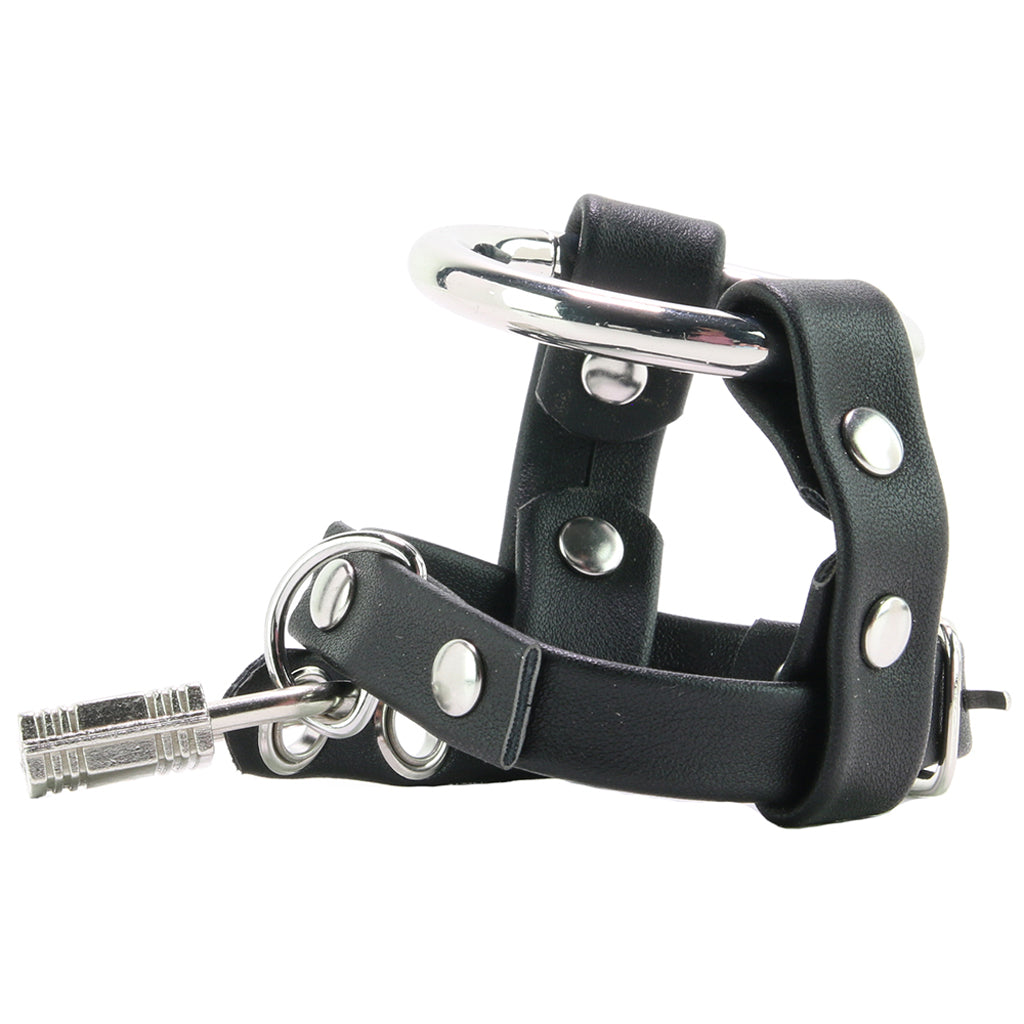 Metal Cock Ring with Locking Ball Strap