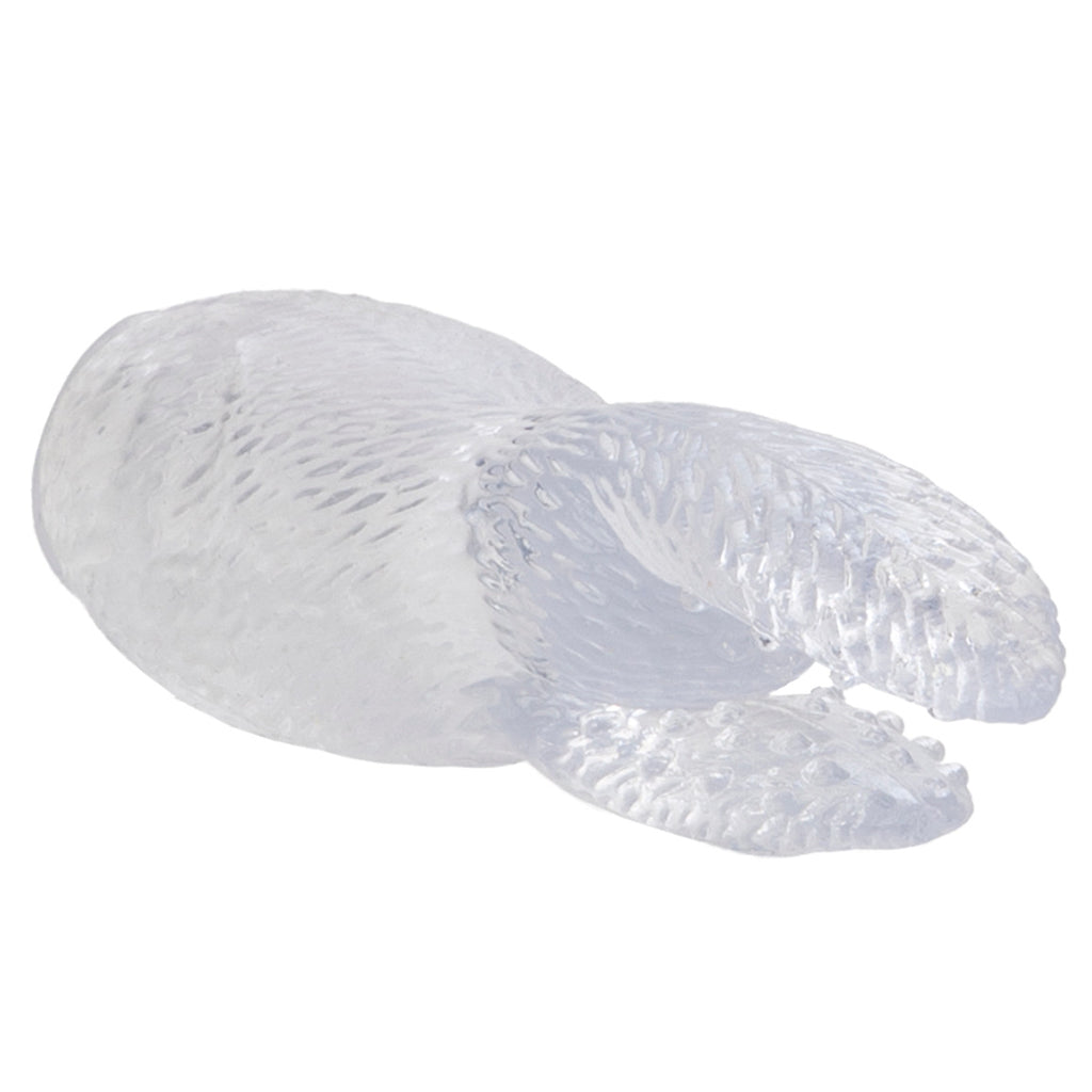 Hi-Intensity Snow Bunny Vibe in Clear