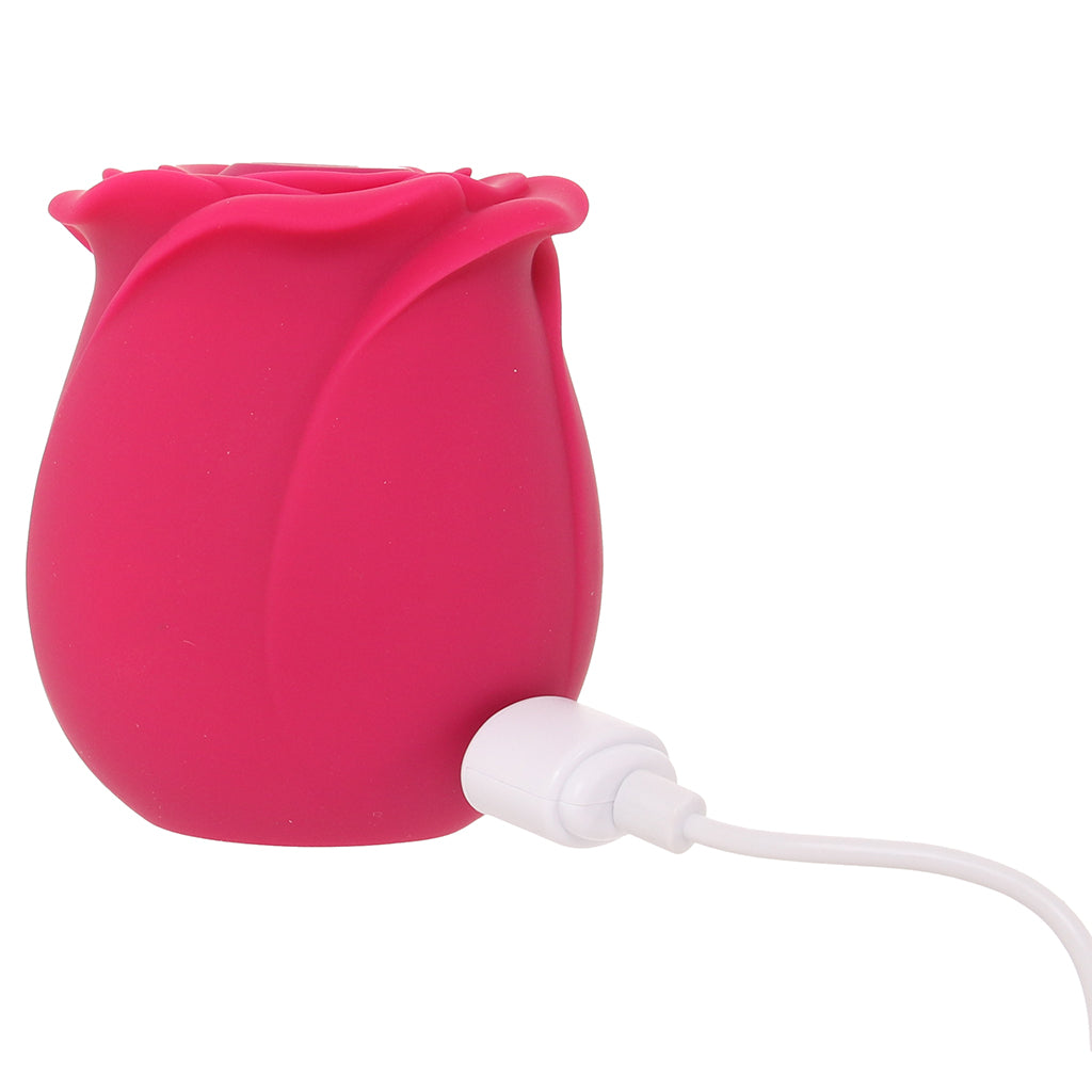 Satisfyer Satisfyer Pro 2 Classic Blossom Rose Vibe - Vibrators - HoneyHugs Canada (View 7)