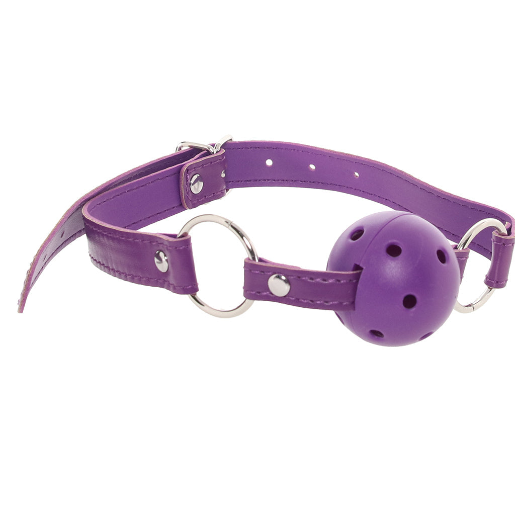 Unleash Your Desires: Whipsmart's 12-Piece Deluxe Bondage & BDSM Exploration Kit