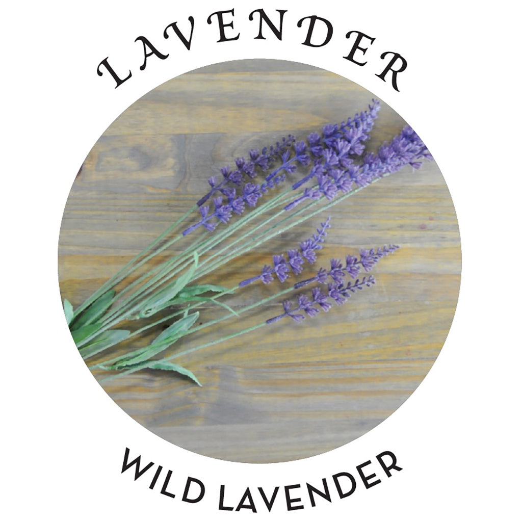 Hemp Seed Tranquility Trio Massage Kit in Lavender