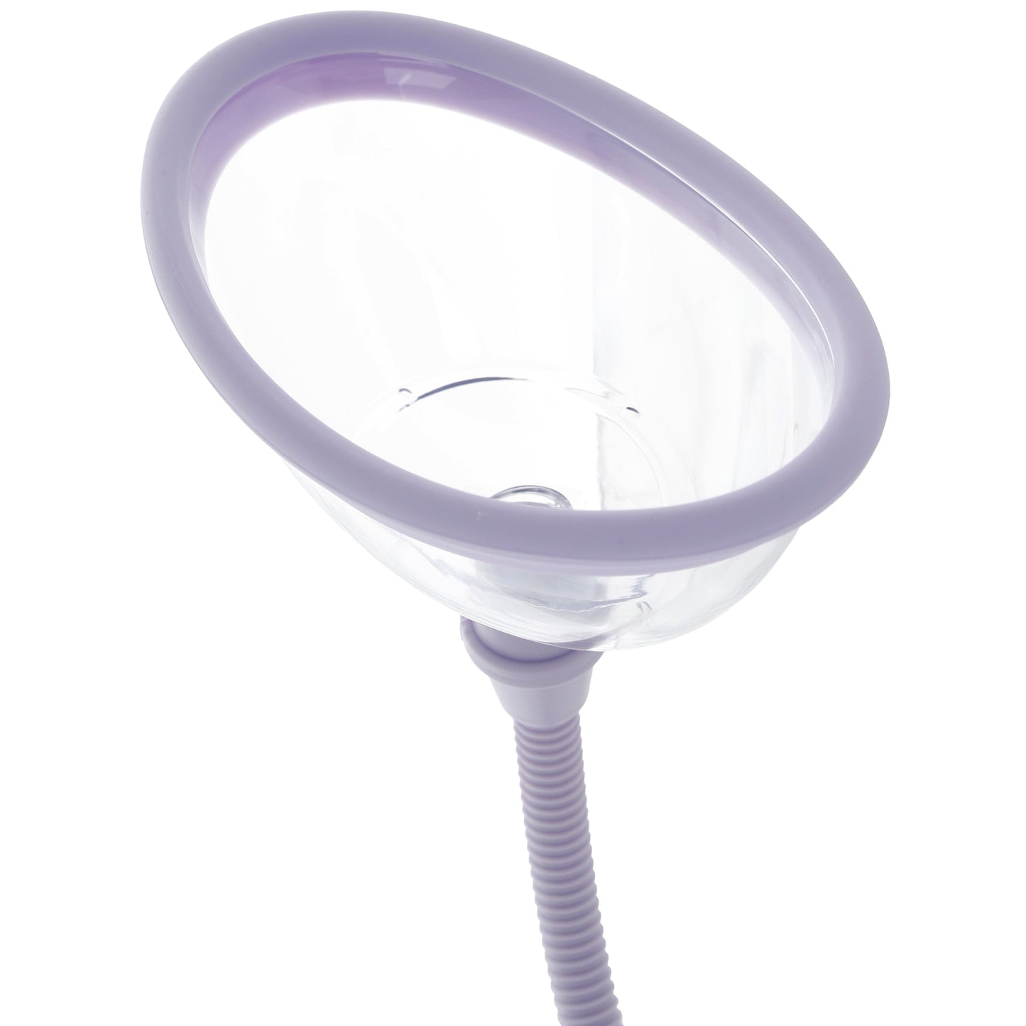 Pumped Vulva Suction Set in Lavender