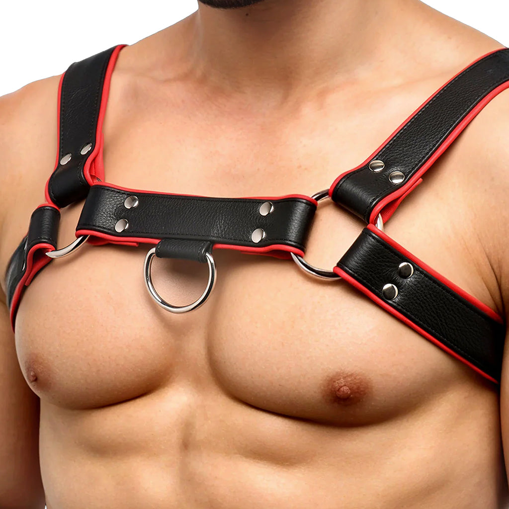 Strict Leather English Bulldog Harness: Master Your Style - Premium Red & Black Bondage