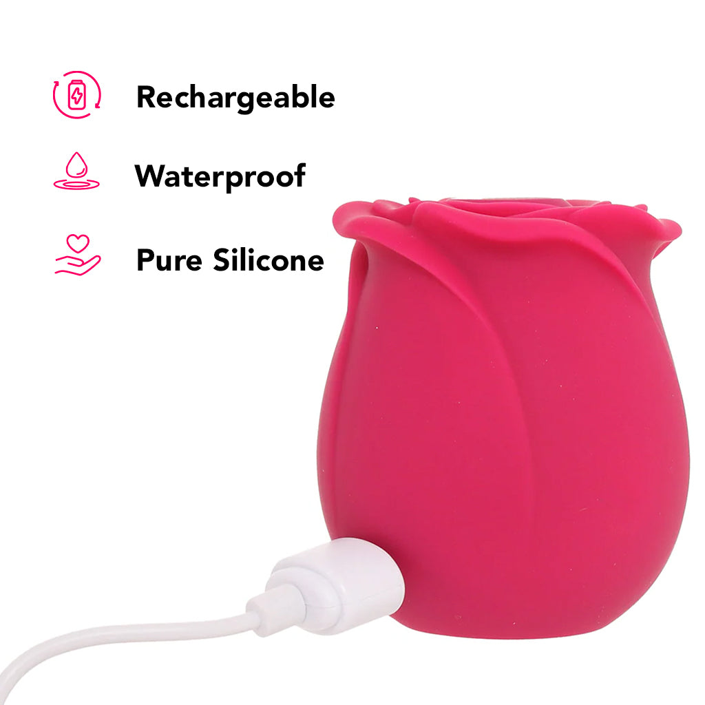 Satisfyer Pro 2 Classic Blossom Rose Vibe