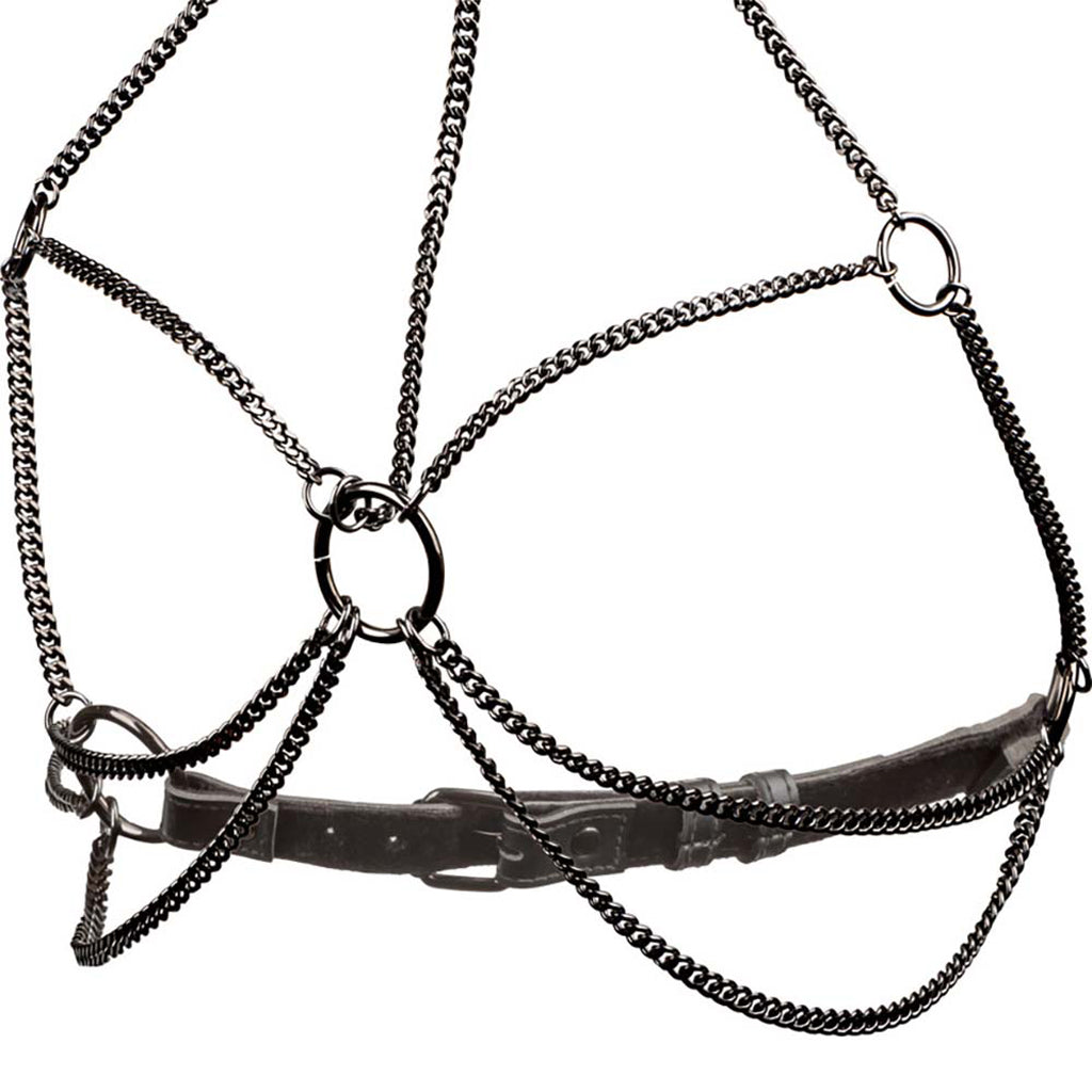 Euphoria Multi Chain Collar Harness XL: Luxurious Fetish & Fashion Statement