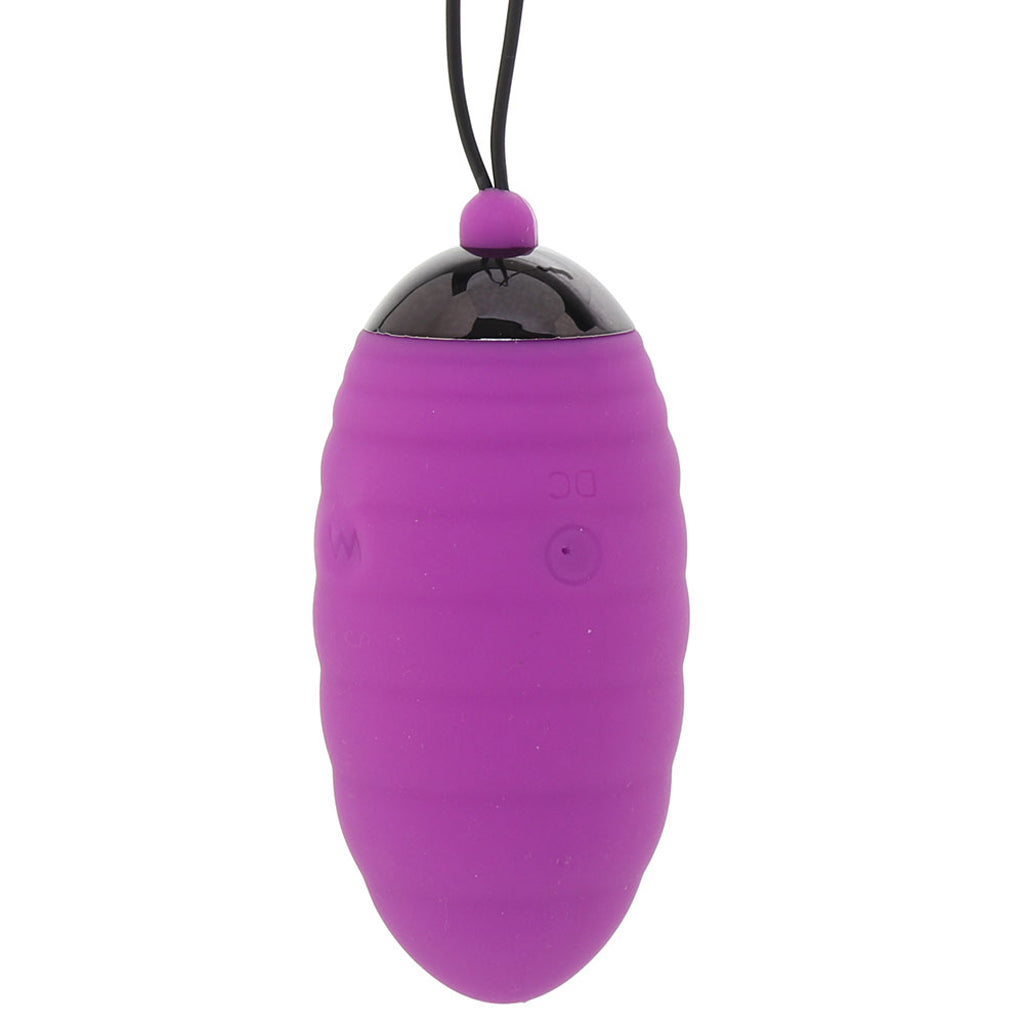 Adrien Lastic Ocean Breeze 2.0 Remote Egg Vibe in Purple - Vibrators - HoneyHugs Canada (View 2)