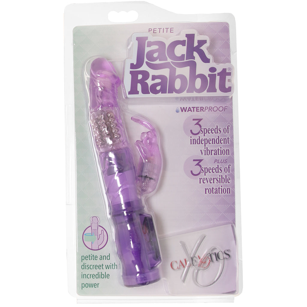 Petite Jack Rabbit Starter Vibe in Purple