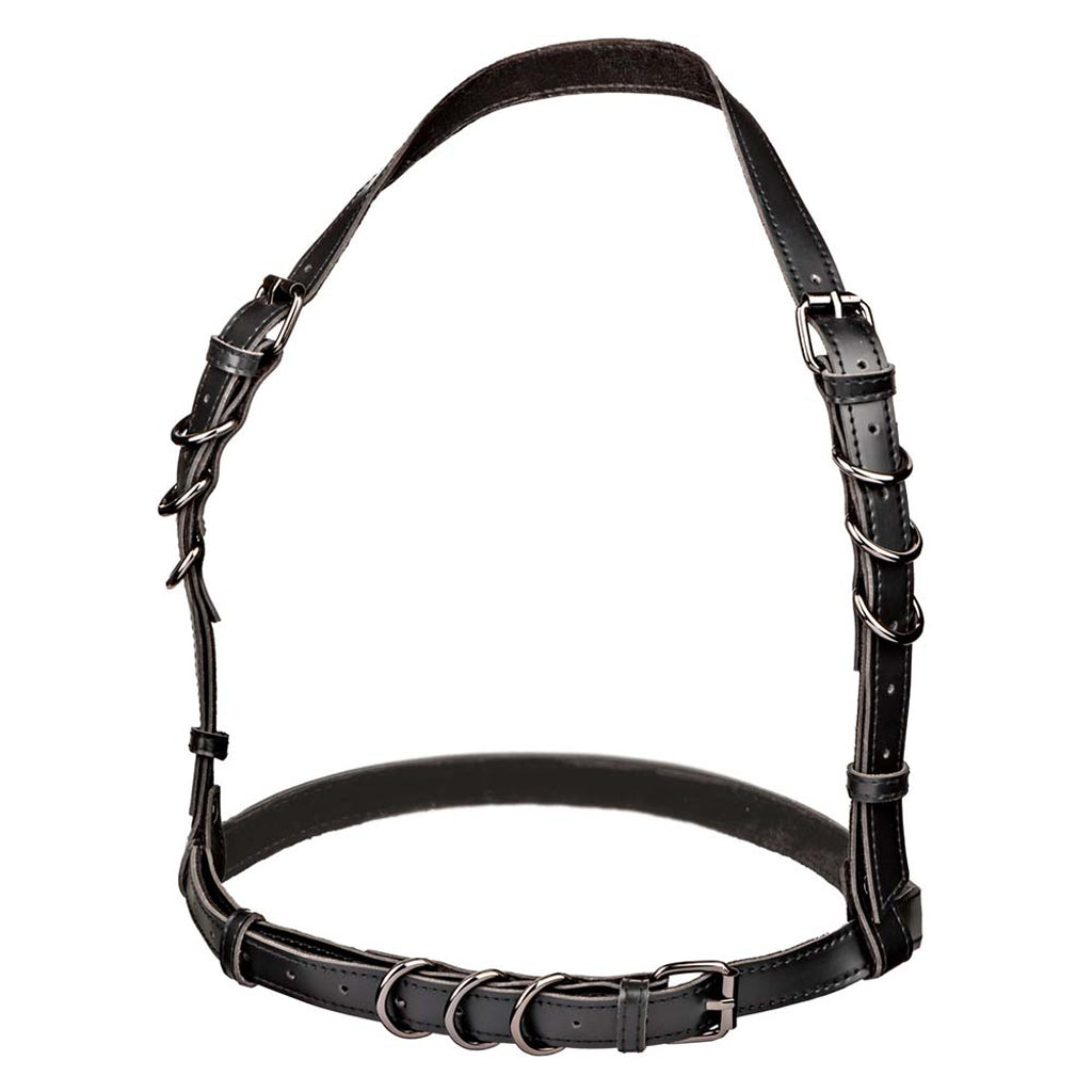 Euphoria Halter Buckle Harness XL: Command & Captivate in Luxurious Strappy Fetishwear
