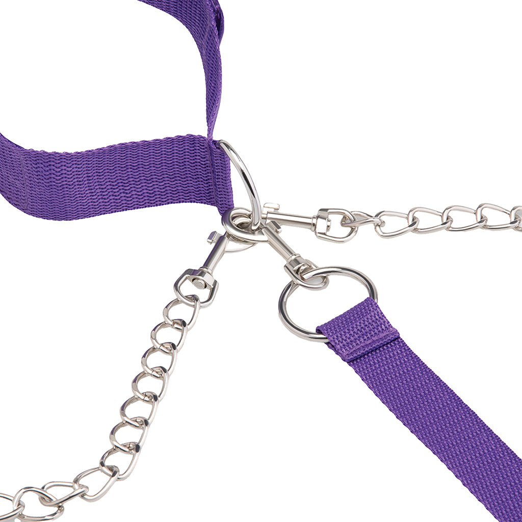 Command & Captivate: Lux Fetish Purple Collar, Cuffs & Leash Set