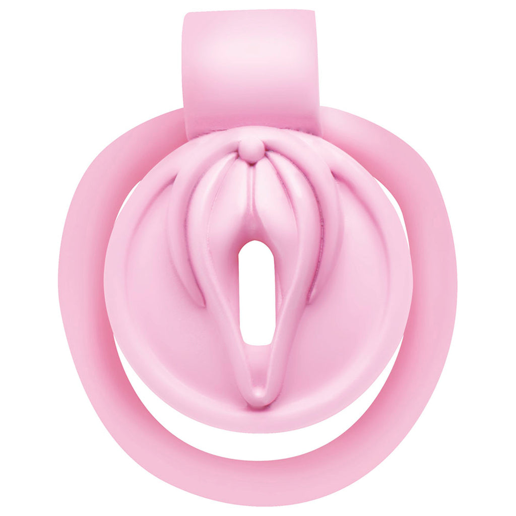 Master Series Pussification Vulva Chastity Cage: Embrace Ultimate Control & Submission