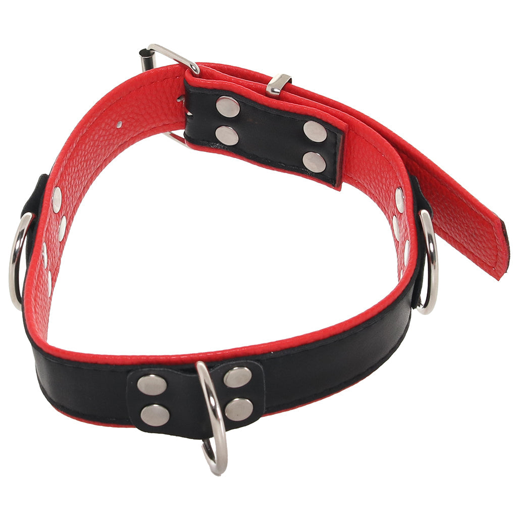 Ouch! Deluxe Bonded Leather Bondage Collar in Red