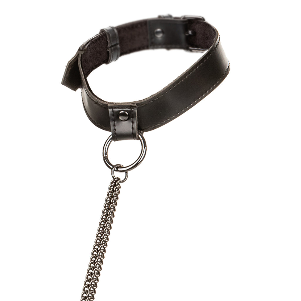 Euphoria Chain Collar & Leash: Luxurious BDSM Body Harness & Classic Fetish Set