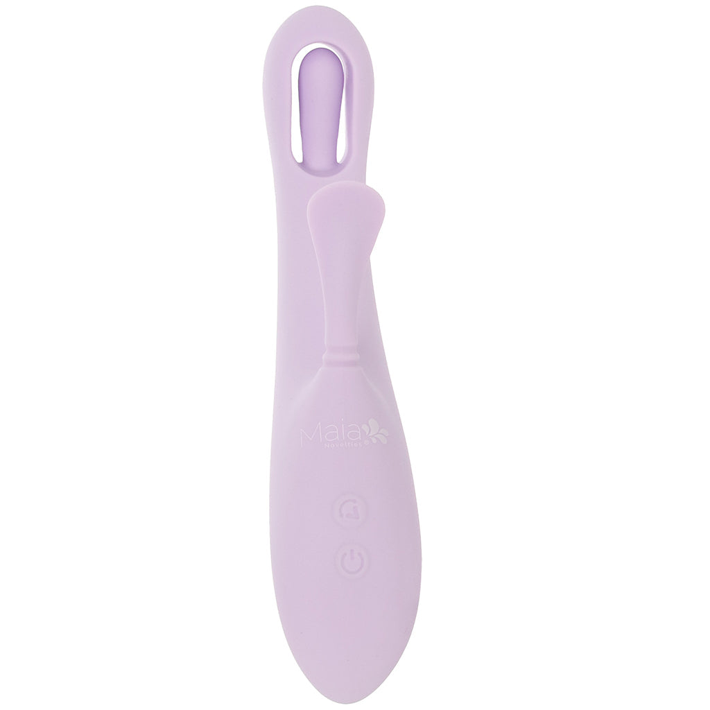 Charli Tapping & Flapping Rabbit Vibe