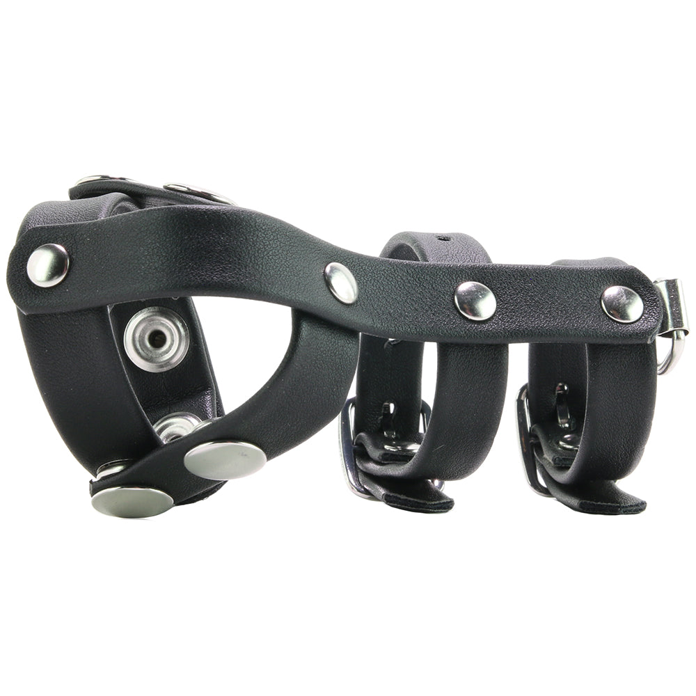 Blueline Men Blue Line Double Cock & Ball Strap with Leash Lead – Faux Leather Power & Pleasure