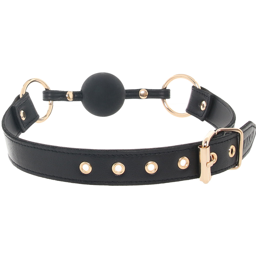 Leather Ball Gag