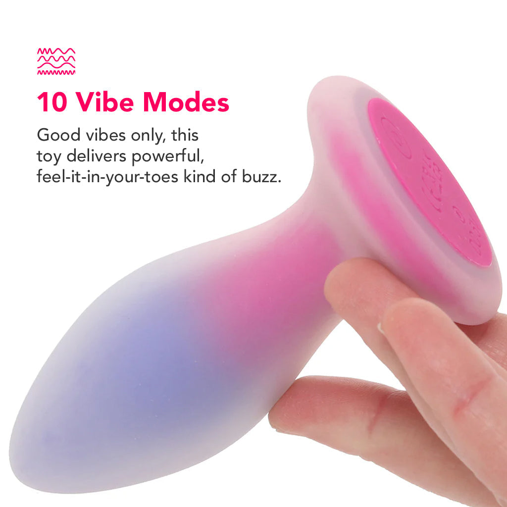 Evolved Novelties Paradise Remote Vibrating Butt Plug - Vibrators - HoneyHugs Canada (View 4)