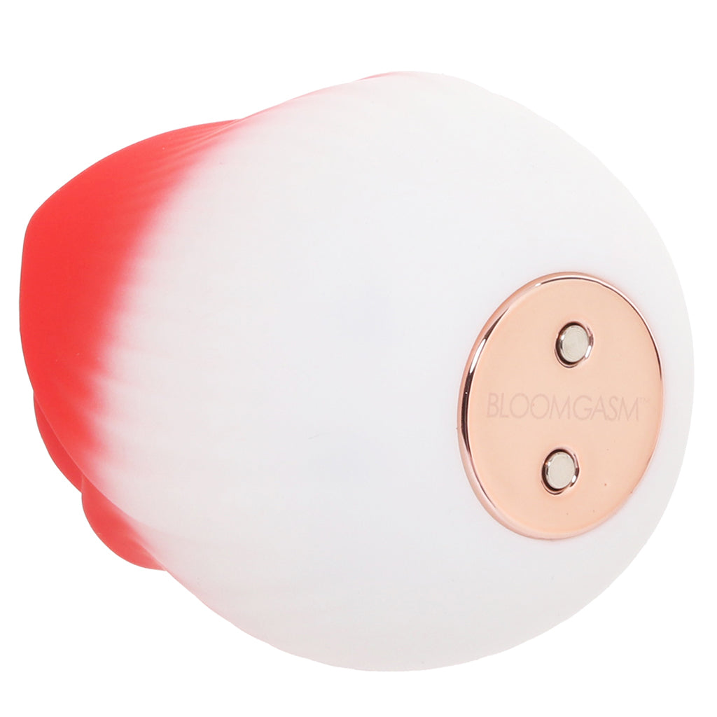 XR Brands Bloomgasm Pulsing Petals Rose Stimulator in Red - Vibrators - HoneyHugs Canada (View 5)