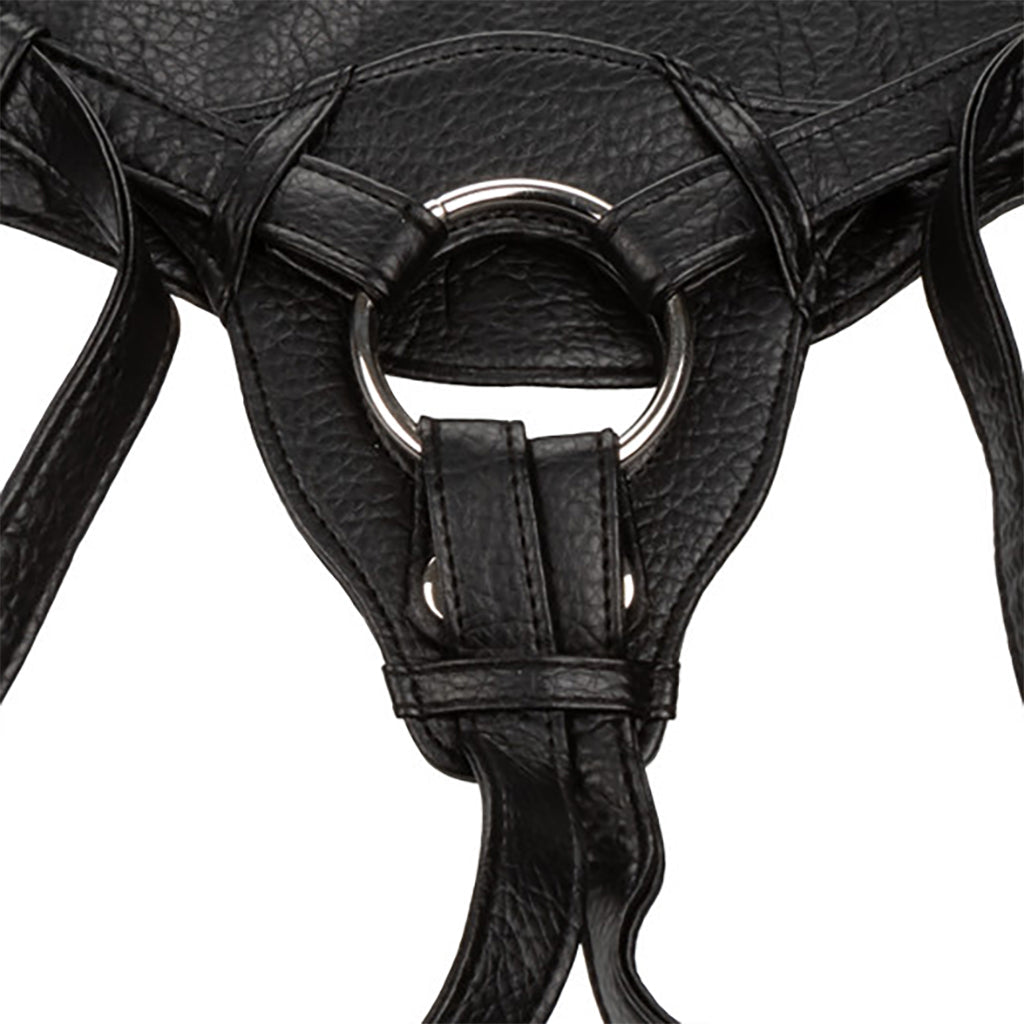 The Queen Her Royal Harness