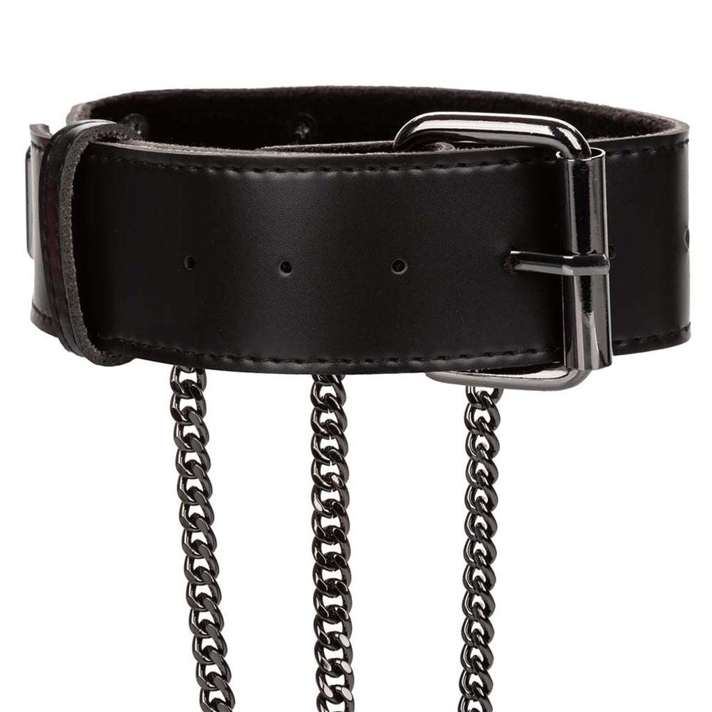 Euphoria Multi Chain Collar Harness XL: Luxurious Fetish & Fashion Statement