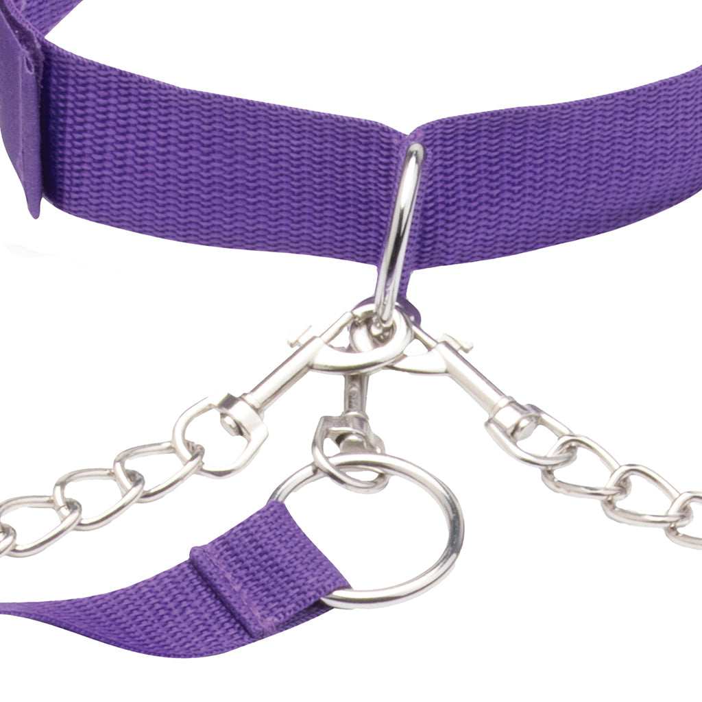 Command & Captivate: Lux Fetish Purple Collar, Cuffs & Leash Set