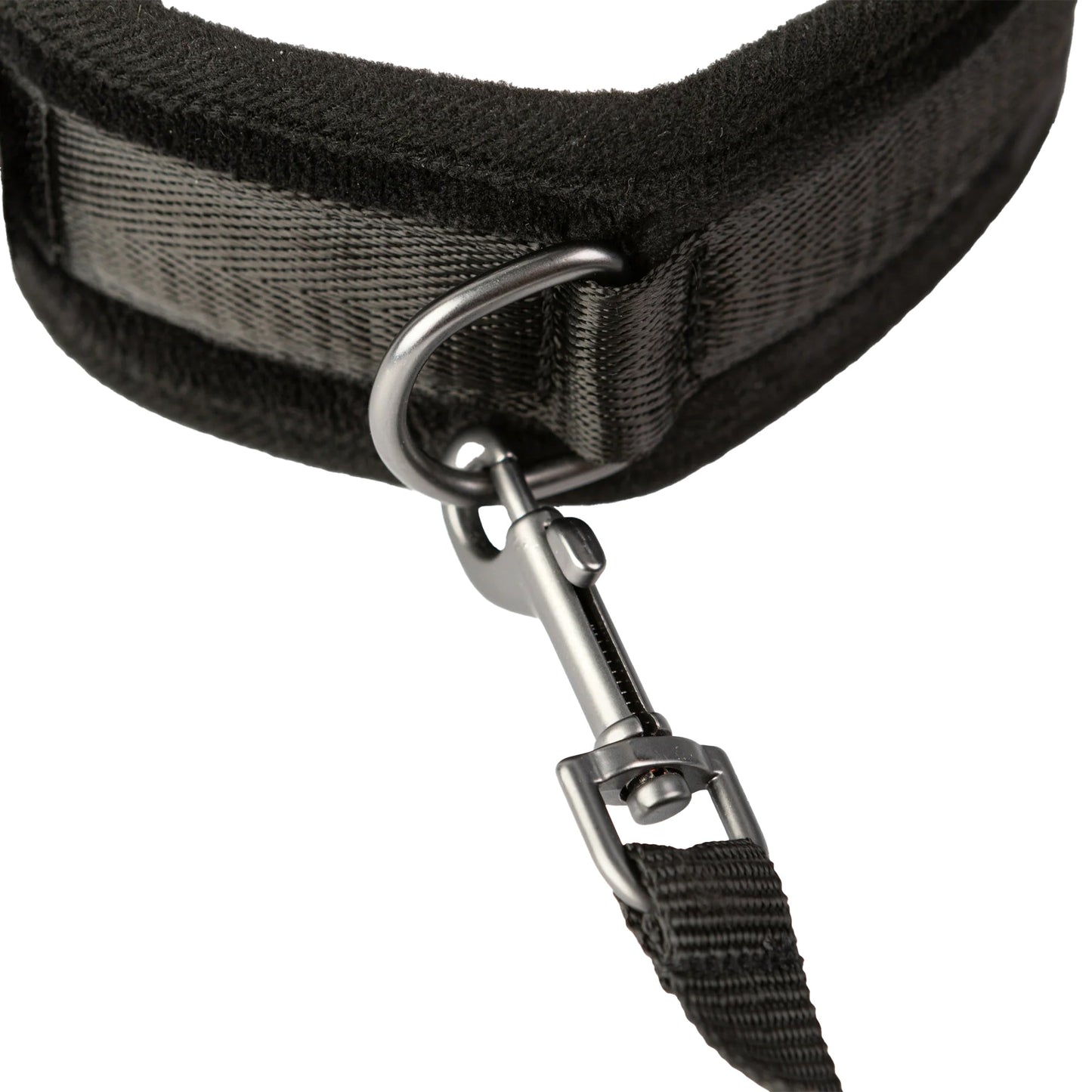 Sei Mio Take The Lead Neck Collar & Leash