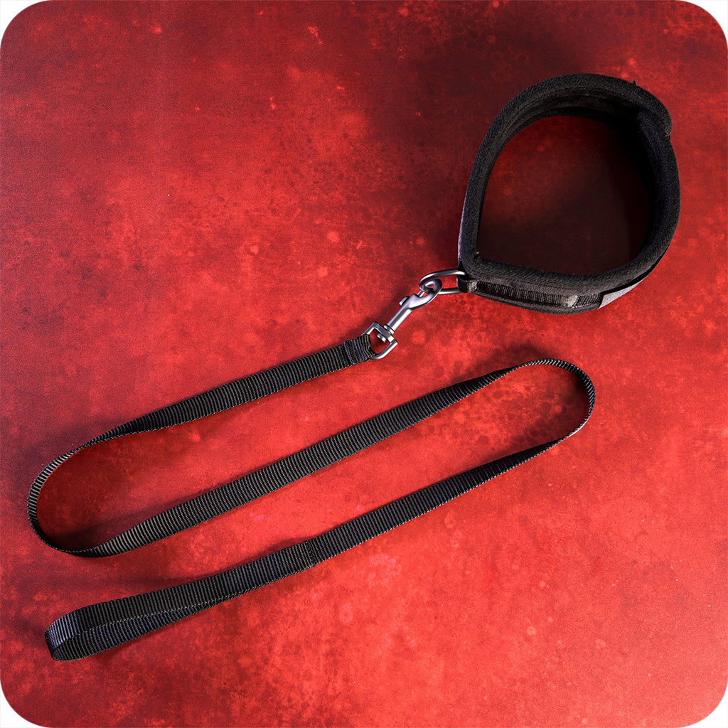 Sei Mio Take The Lead Neck Collar & Leash