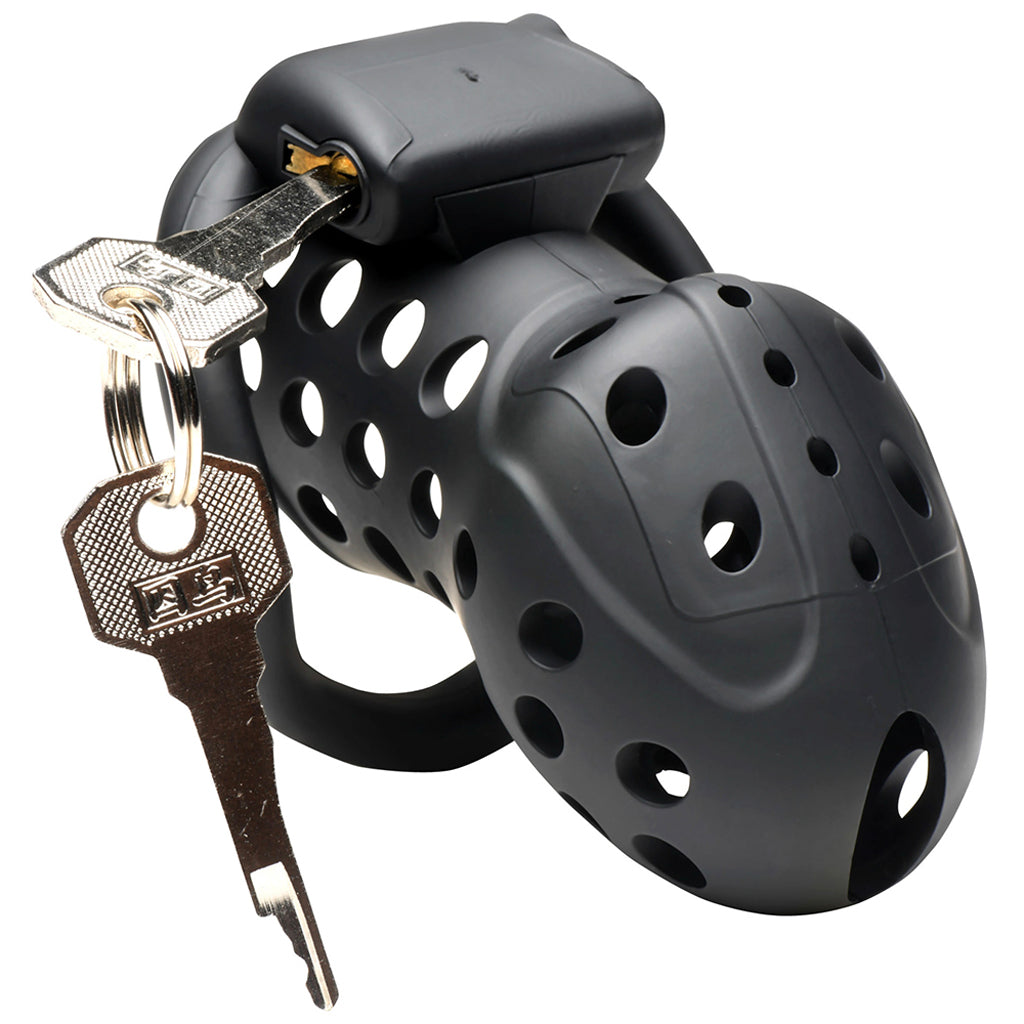 Master Series Lockdown Chastity Cage: Exquisite Control, Absolute Surrender