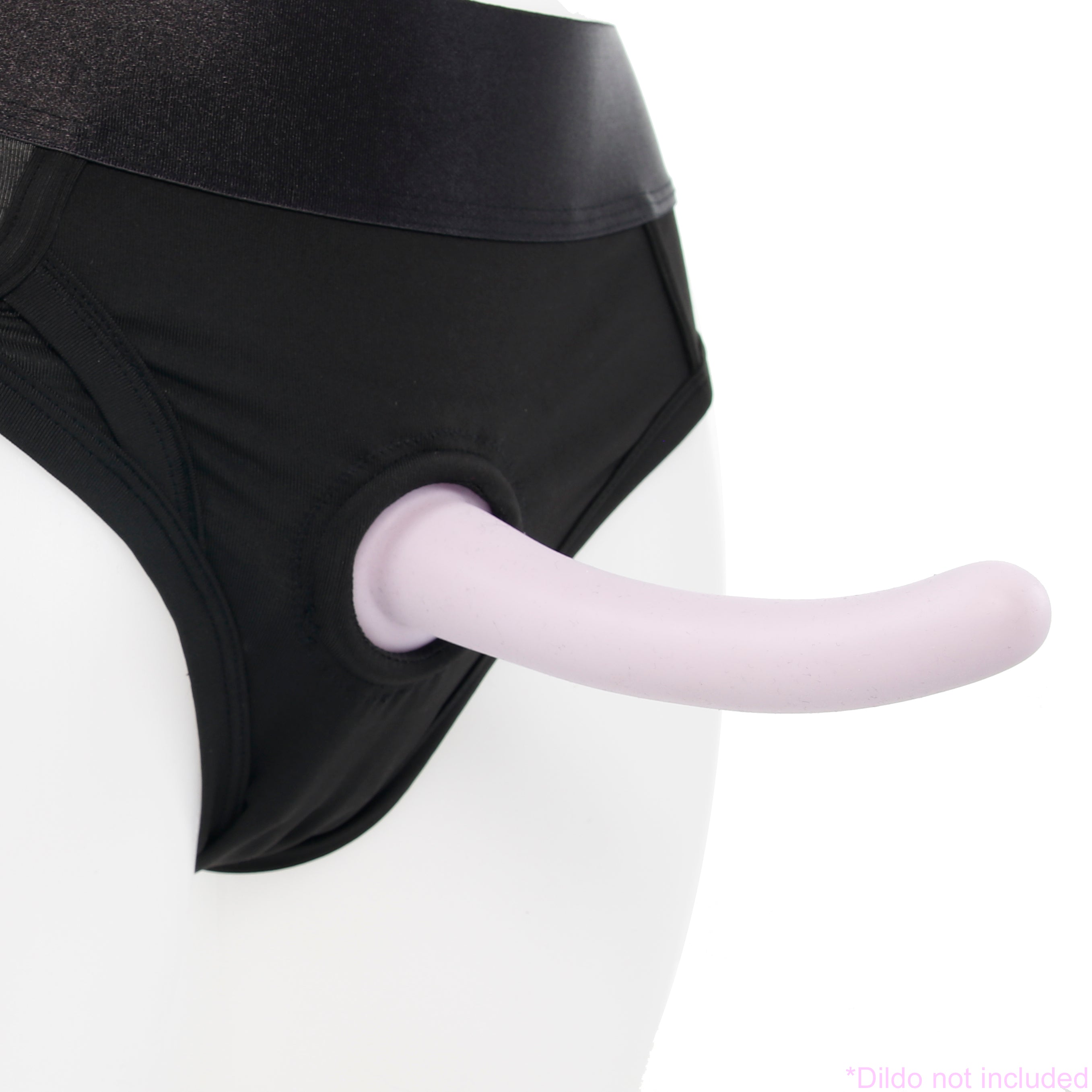 Whipsmart Brief Harness