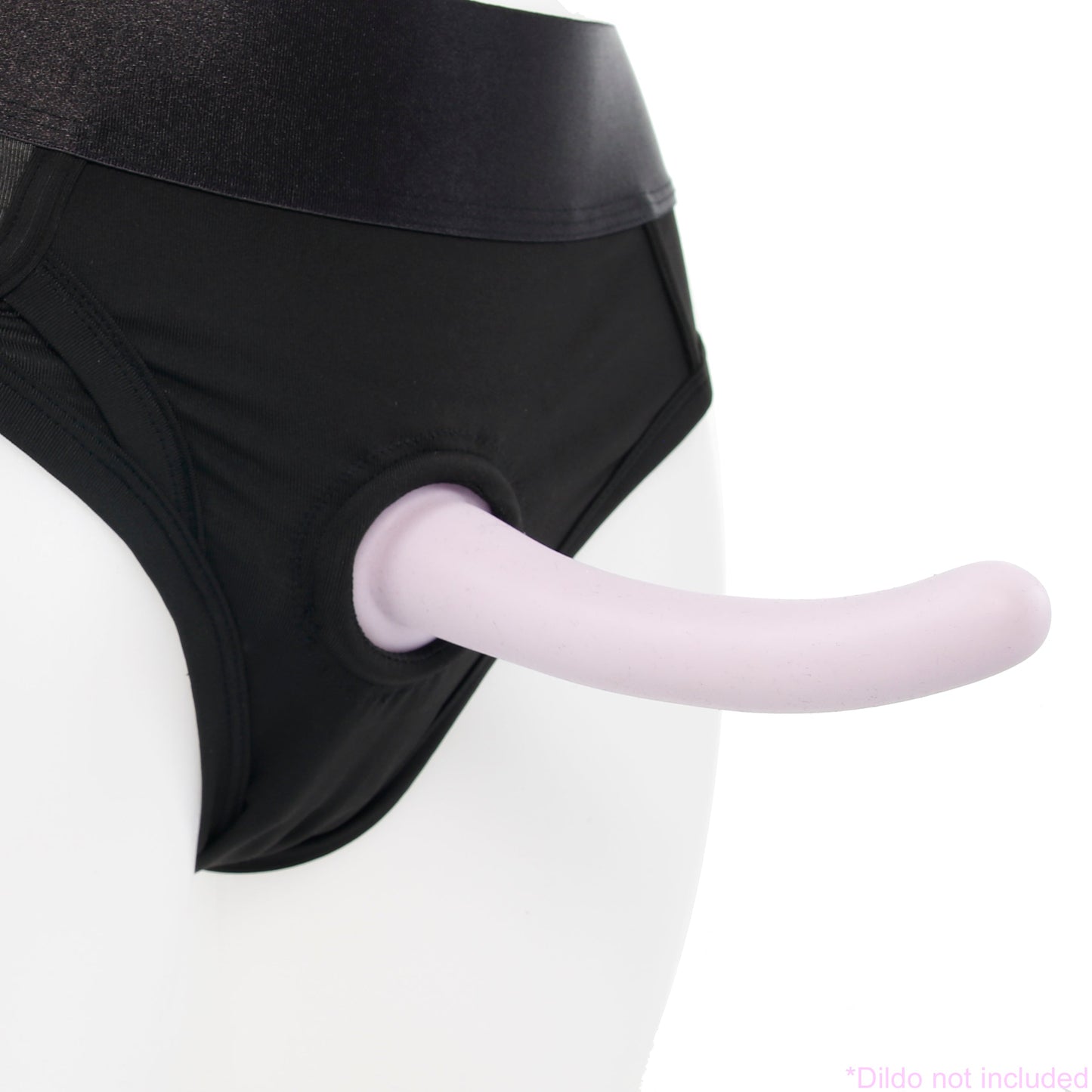 Whipsmart Brief Harness
