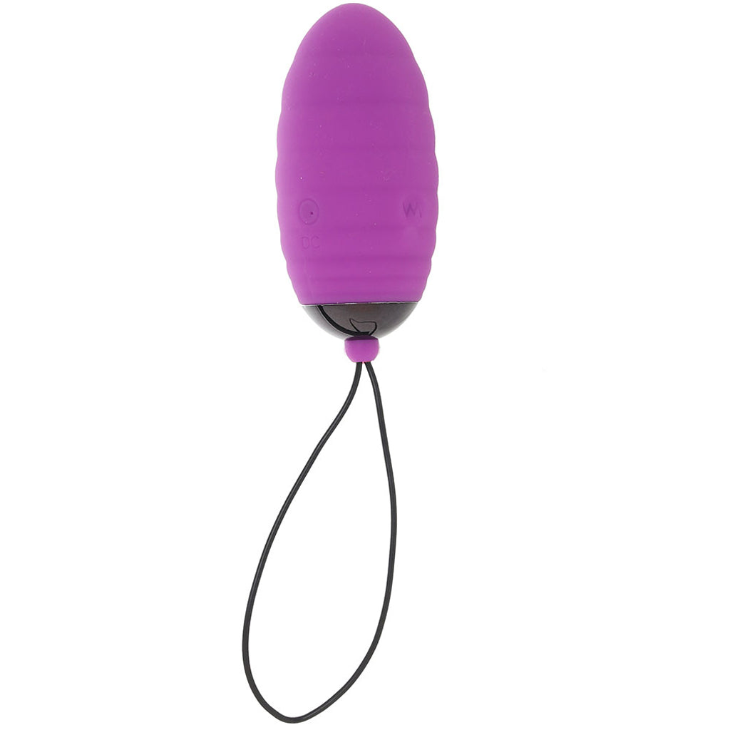 Adrien Lastic Ocean Breeze 2.0 Remote Egg Vibe in Purple - Vibrators - HoneyHugs Canada (View 3)