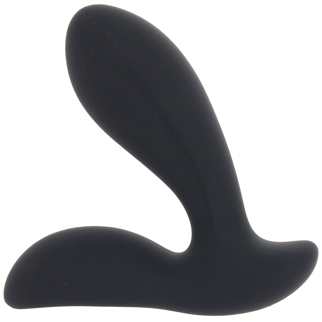 ns novelties Renegade Rain Remote Prostate Vibe - Vibrators - HoneyHugs Canada (View 3)