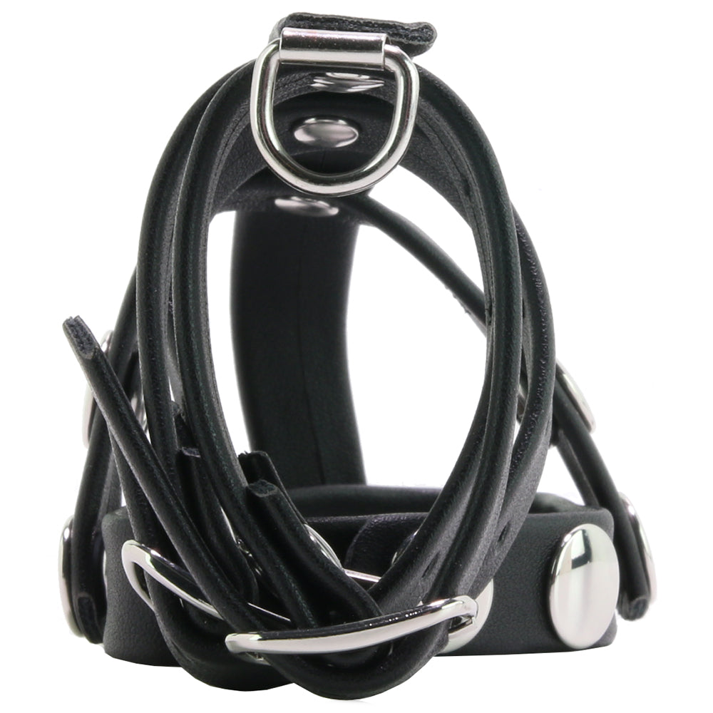 Unleash Control & Intense Pleasure: Blue Line Triple Cock & Ball Strap with Leash