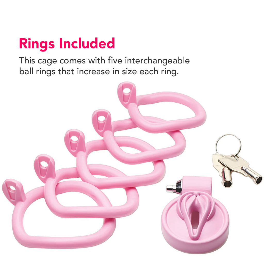 Master Series Pussification Vulva Chastity Cage: Embrace Ultimate Control & Submission