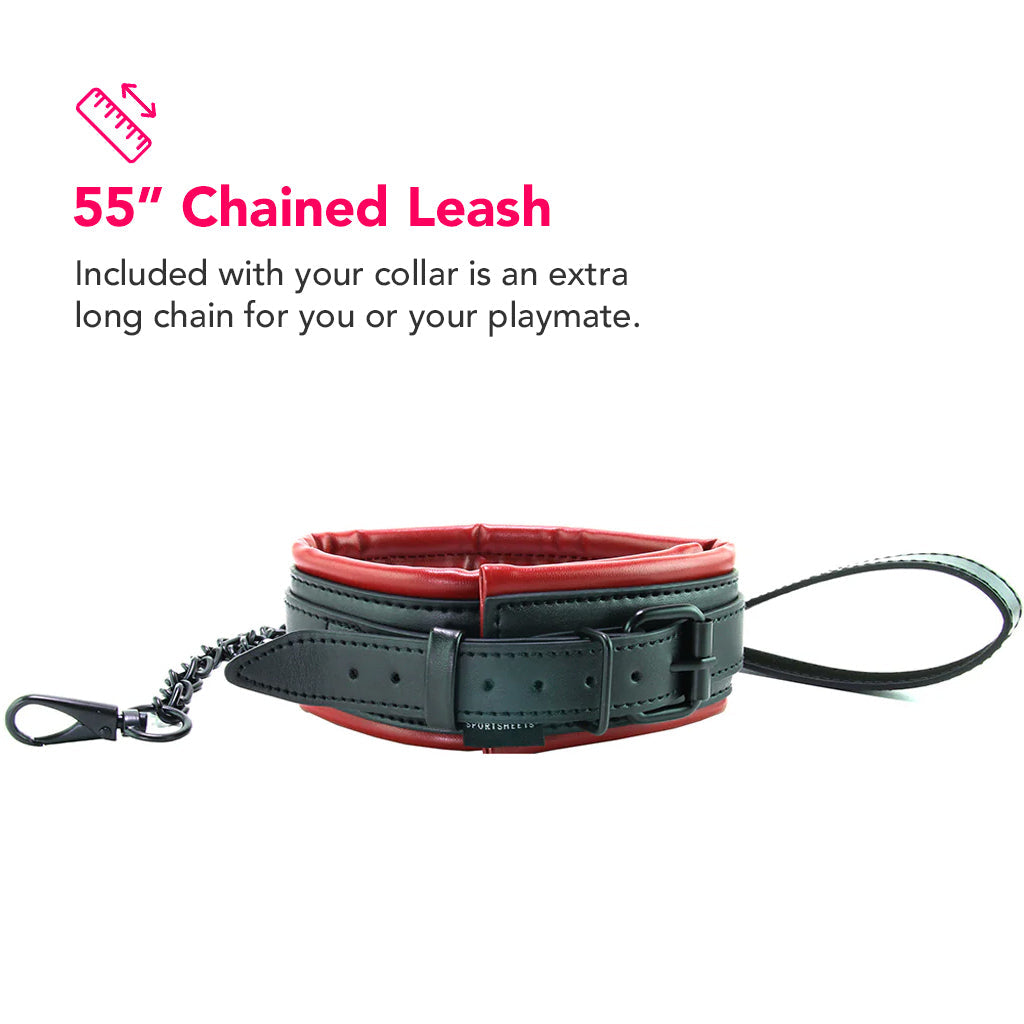 Saffron Leash & Collar